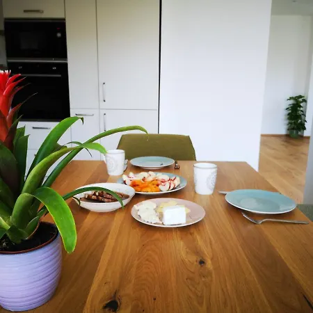 Spacy Next To The Center Of With Terrasse Apartment Graz