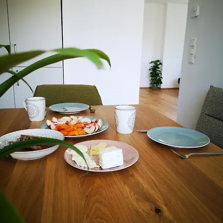 Spacy Next To The Center Of With Terrasse * Graz