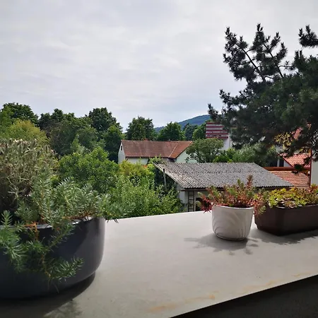 Spacy Next To The Center Of With Terrasse