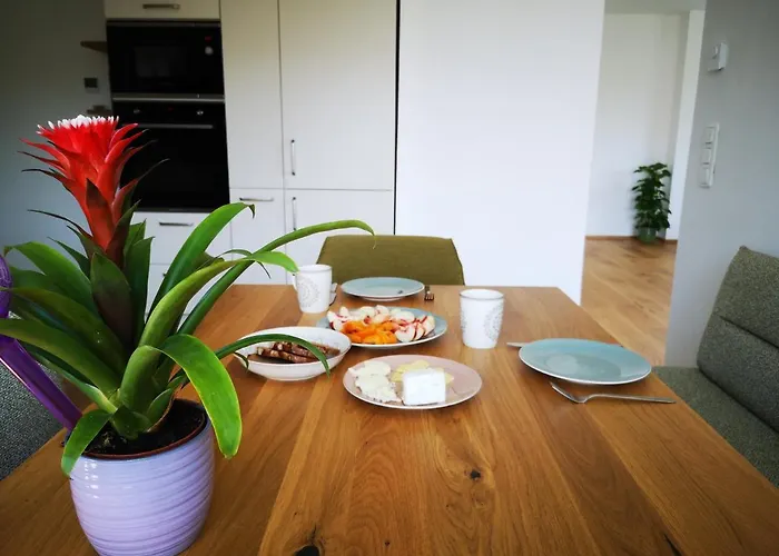 Spacy Next To The Center Of With Terrasse Apartment Graz